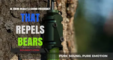 Decoding the Myth: Can Sound Frequencies Really Repel Bears?