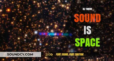Does Space Echo Silence? Unraveling the Mystery of Sound in the Void
