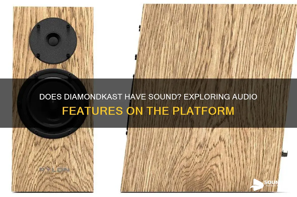 is there sound on diamondkast