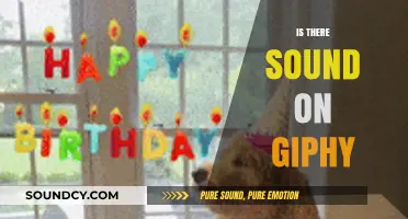 Does Giphy Have Sound? Exploring Audio Features on the Platform