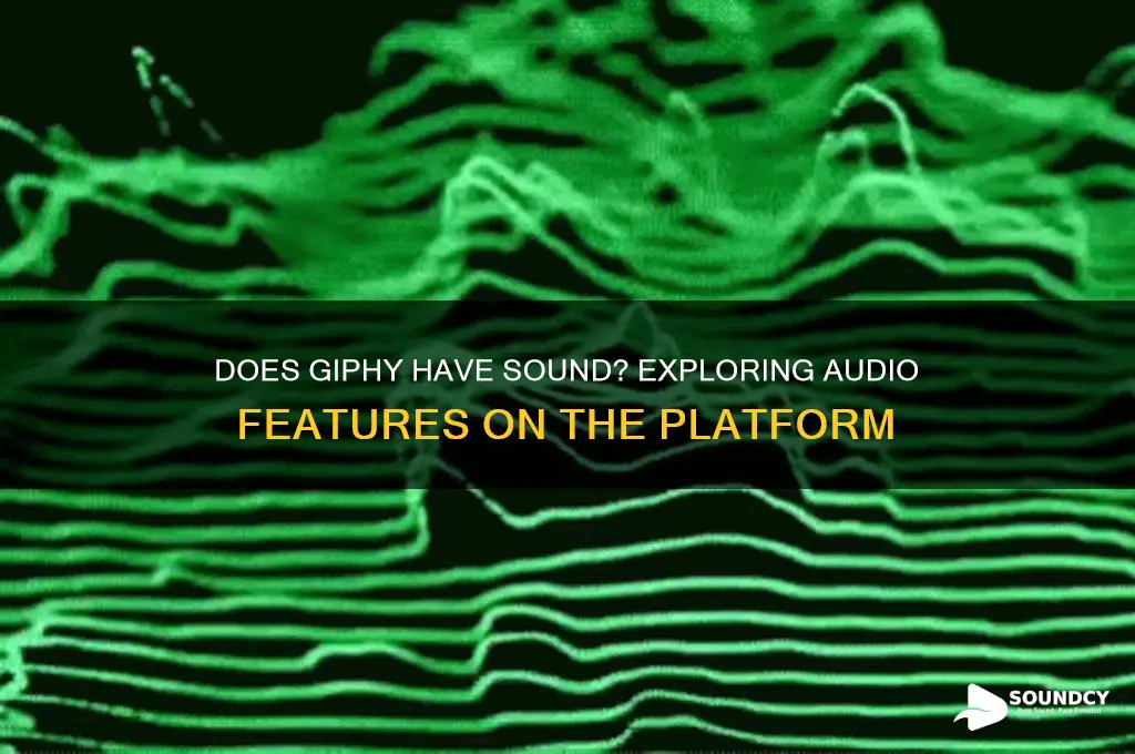 is there sound on giphy