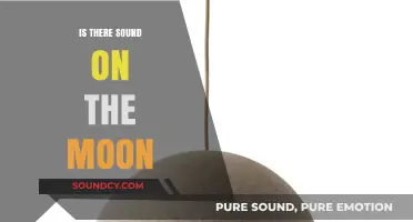 Exploring the Moon: Is There Sound?