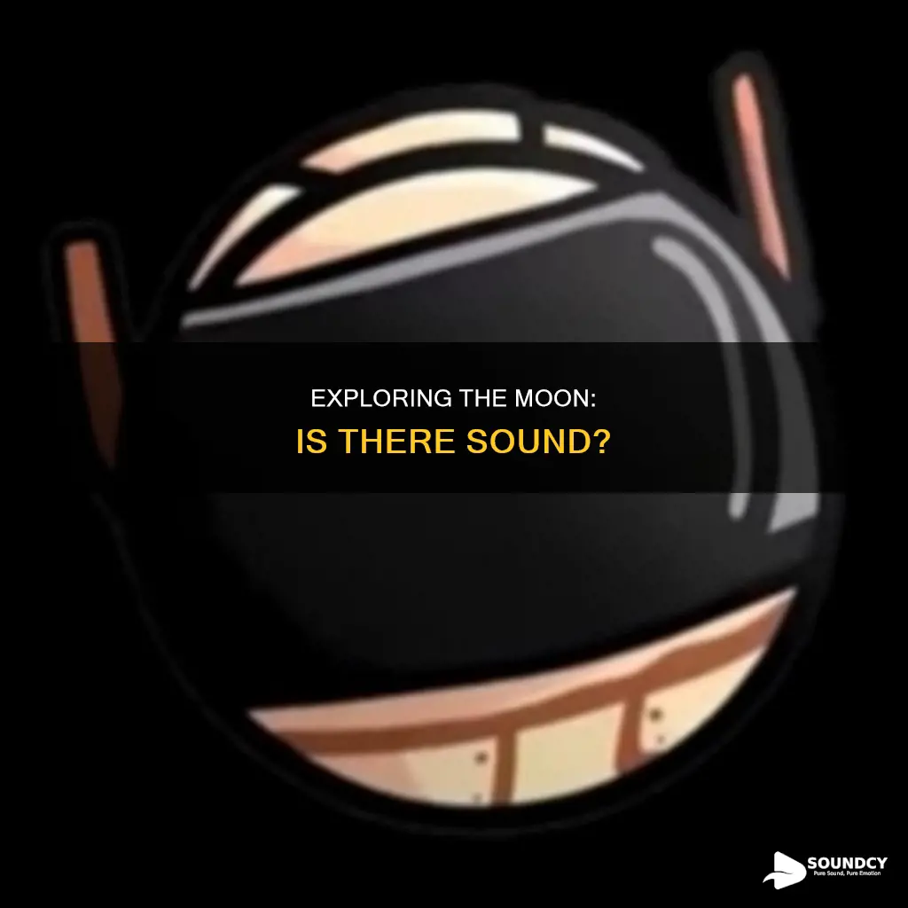 is there sound on the moon