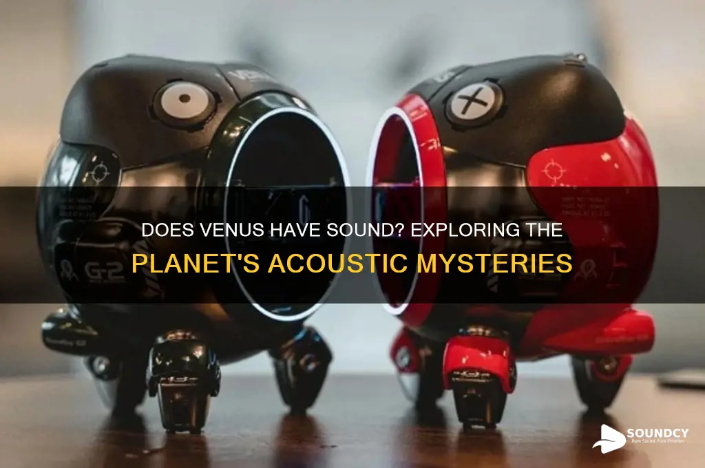 is there sound on venus