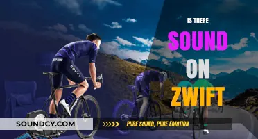 Does Zwift Have Sound? Exploring Audio Features for Immersive Cycling