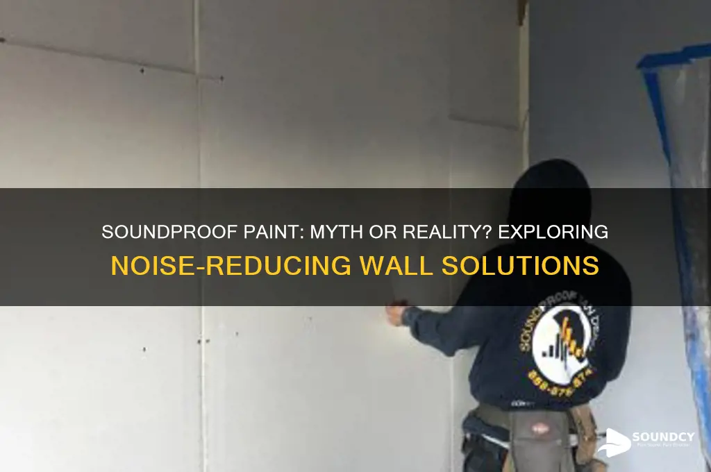 is there sound proof paint