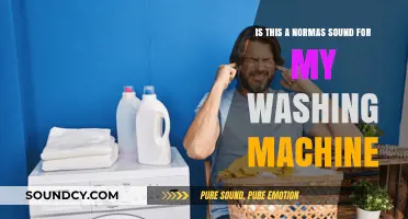 Decoding Washing Machine Noises: Is That Sound Normal?