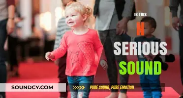 Is This Noise Serious? Decoding the Impact of Sound on Health