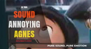 Is That Sound Annoying Agnes? Exploring Irritating Noises and Why They Bother Us