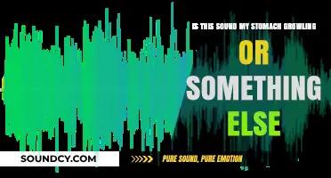 Decoding the Mysterious Rumbles: Stomach Growls vs. Other Sounds