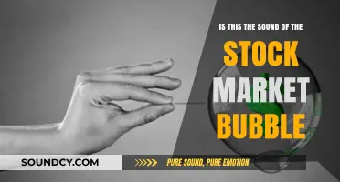 Echoes of Excess: Is the Stock Market Bubble Bursting?