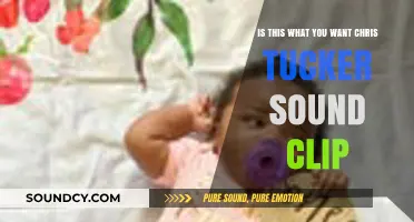 Chris Tucker's Iconic Sound Clip: Is This What You Want?