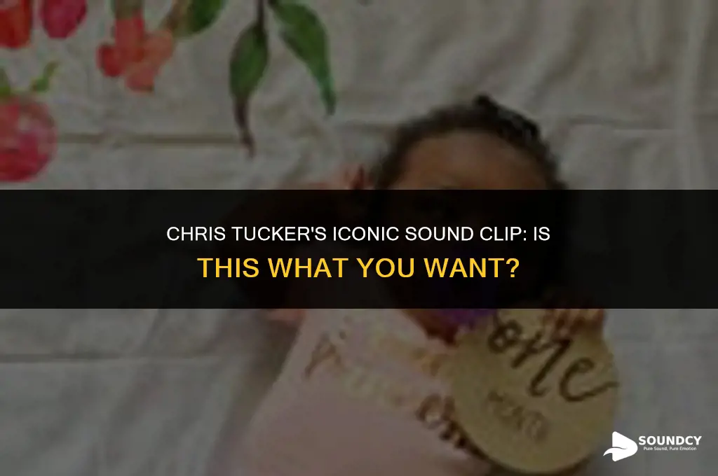 is this what you want chris tucker sound clip
