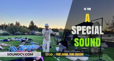 Exploring the Mystery: Is There a Special Sound in Nature?
