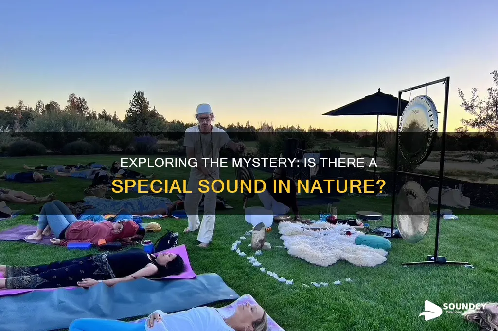 is thr a special sound