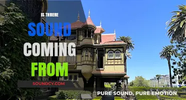Is There Sound Coming From Your Surroundings? Exploring the Mystery