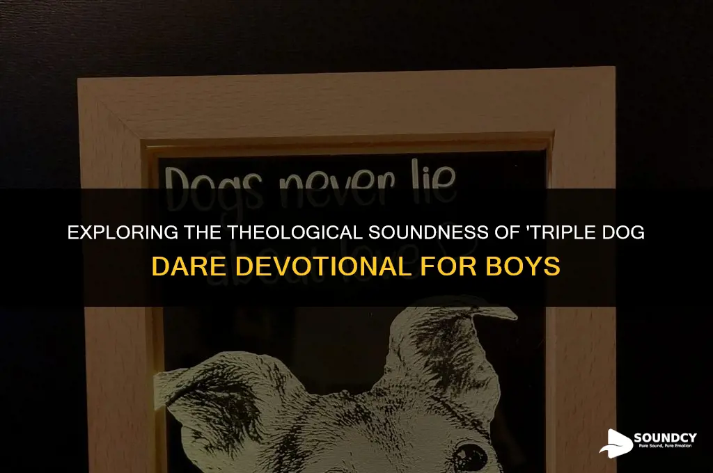 is tripple dog dare devotional for boys theological sound