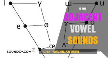 Understanding Adjacent Vowel Sounds: Exploring the Phenomenon of Two Vowels Together
