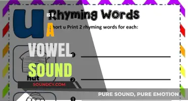 Is 'U' a Vowel Sound? Exploring Phonetics and Language Rules