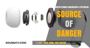 Unwanted Sound: A Hidden Danger Lurking in Our Environment