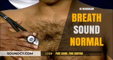 Is Vesicular Breath Sound Normal? Understanding Lung Health and Sounds