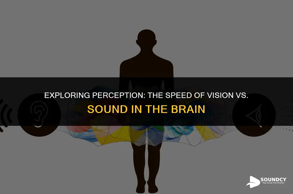 is vision or sound perceived faster g proteins brain