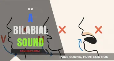 Is 'W' a Bilabial Sound? Exploring Phonetics and Articulation