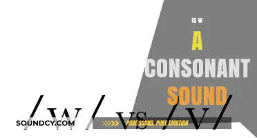 Is 'W' a Consonant Sound? Exploring Phonetics and Language Basics