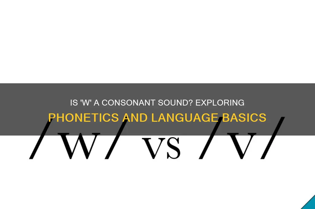is w a consonant sound