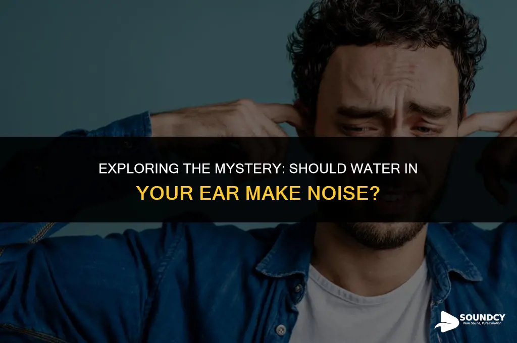 is water in your ear supposed tovhave a sound