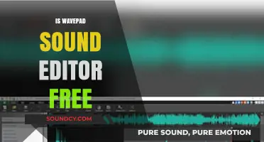 Is WavePad Sound Editor Free? Exploring Its Cost and Features