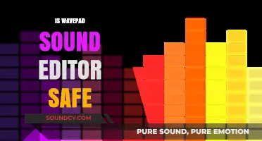 Is WavePad Sound Editor Safe? A Comprehensive Security Review