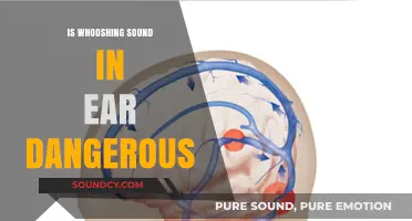 Whooshing Sound in Ears: What's the Risk?