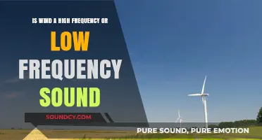 Unraveling the Mystery: Is Wind a High or Low Frequency Sound?