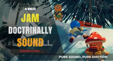 Is Winter Jam Doctrinally Sound? Examining the Faith-Based Festival's Teachings