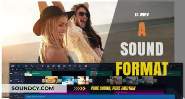 Is WMV a Sound Format? Understanding Its Audio Capabilities