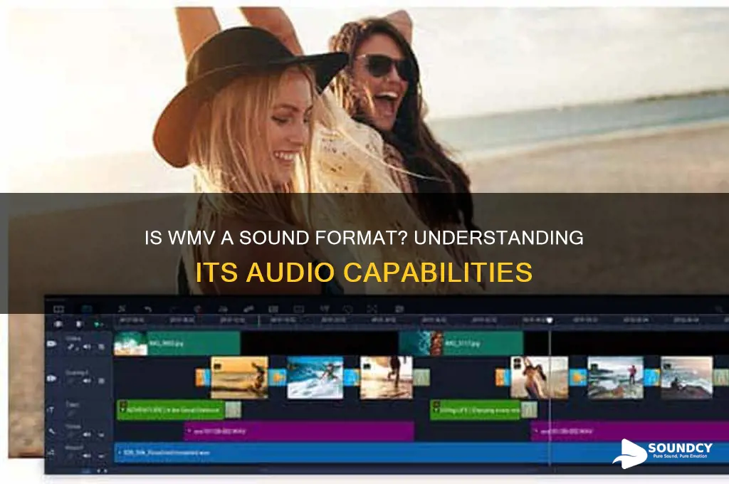 is wmv a sound format