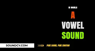 Is the World a Vowel Sound? Exploring Language and Reality