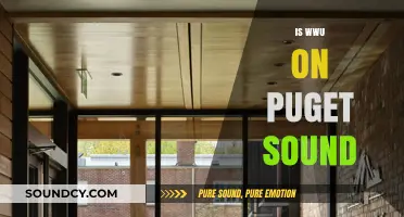 Is Western Washington University Located on Puget Sound? Exploring the Campus