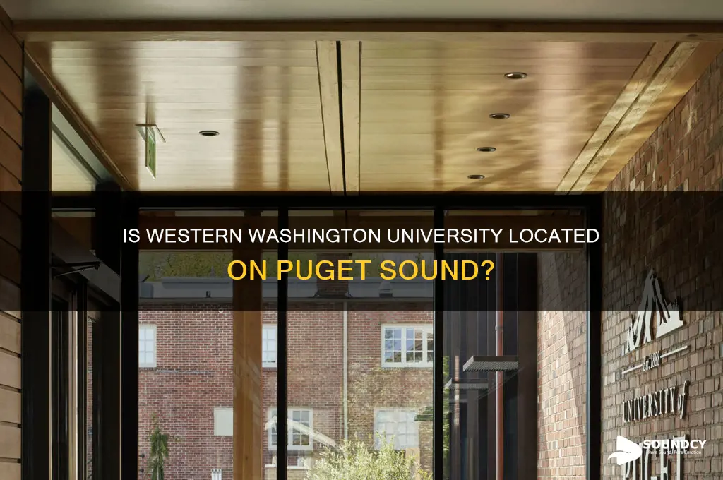 is wwu on the sound
