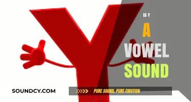 Is Y a Vowel Sound? Unraveling the Mystery of Its Dual Role