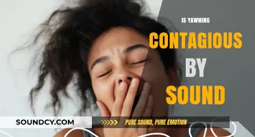 Is Yawning Contagious by Sound? Exploring the Auditory Trigger Effect
