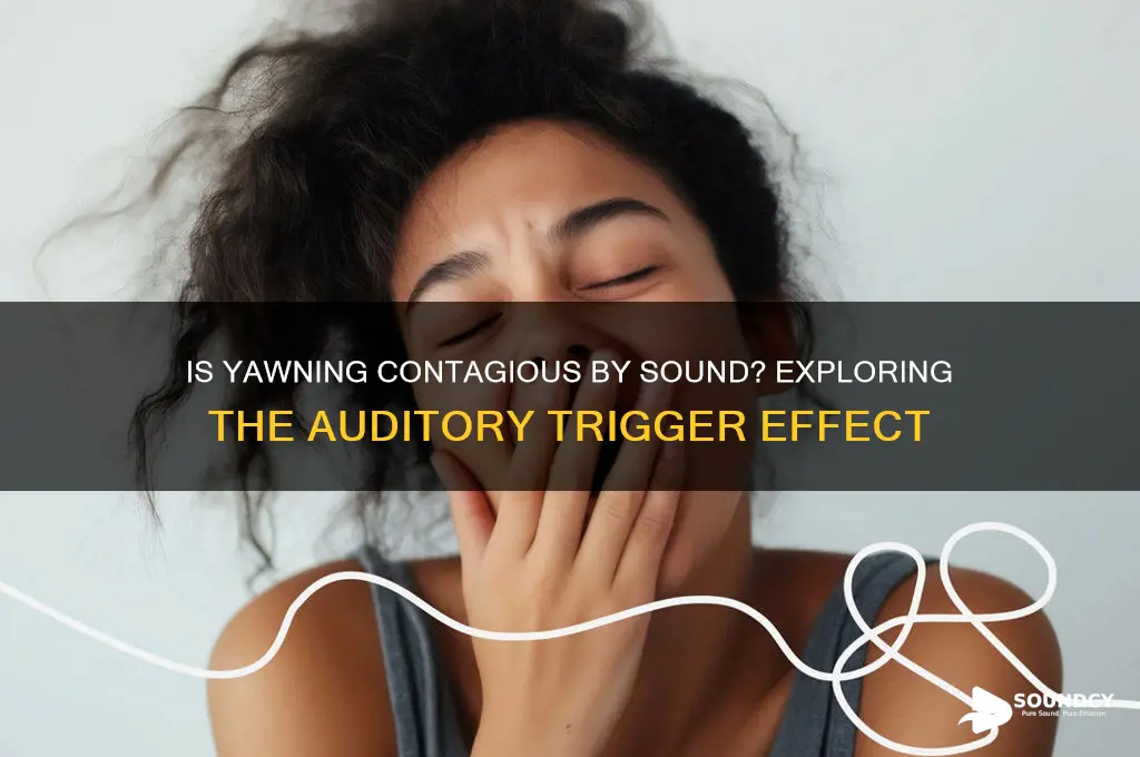 is yawning contagious by sound