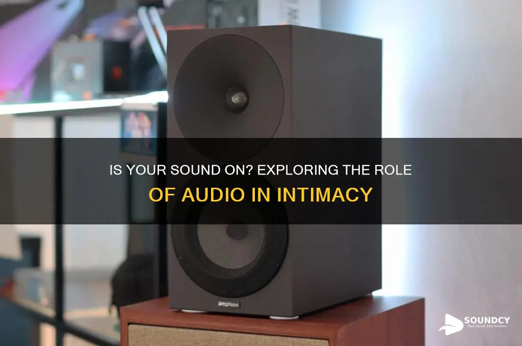 is your sound on sex