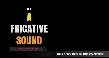 Is Z a Fricative Sound? Exploring Phonetics and Articulation