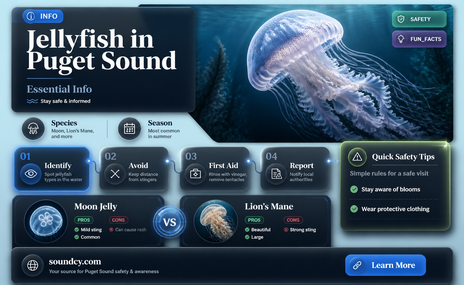 are there jellyfish in puget sound