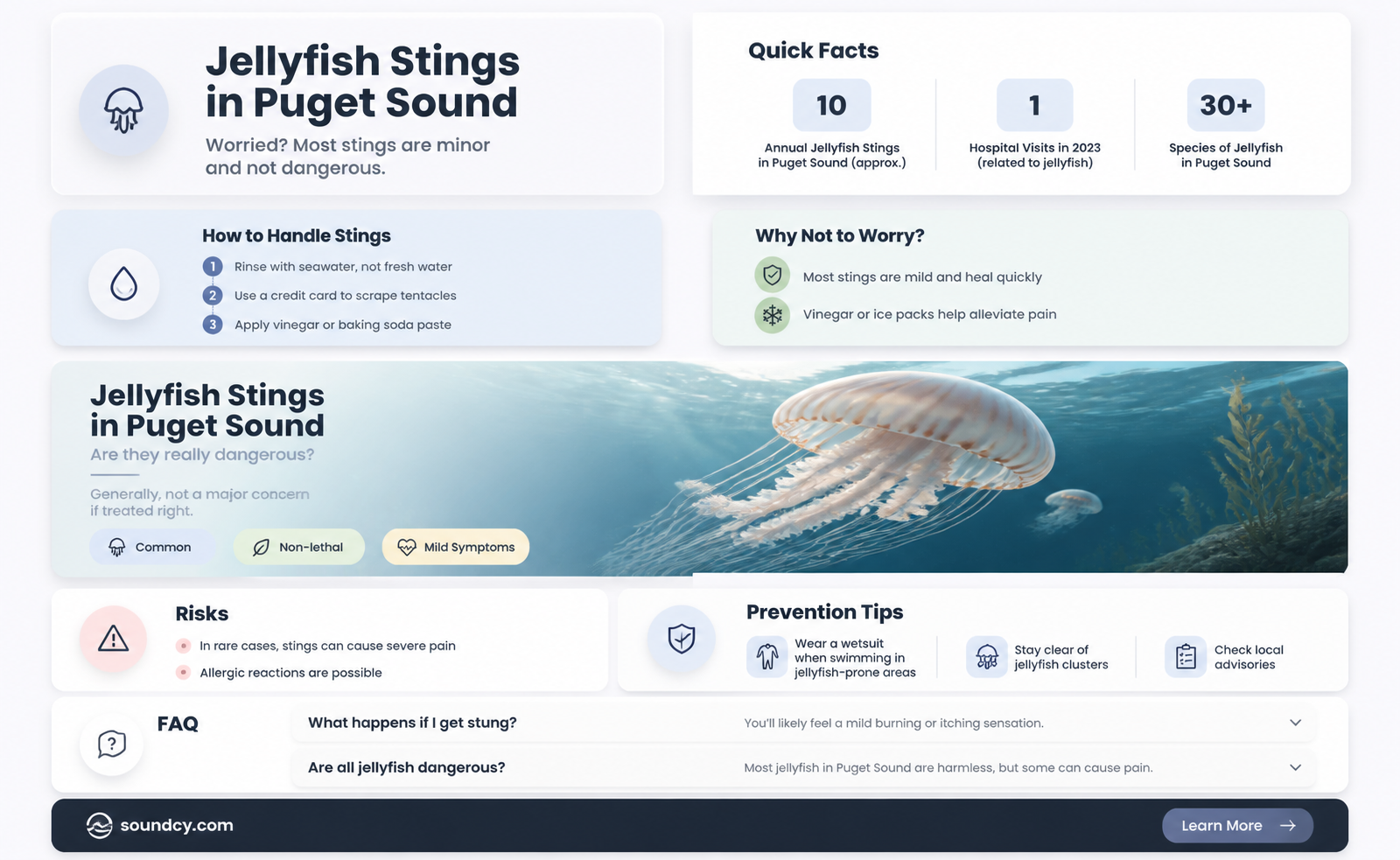 are jellyfish actually going to sting me pudget sound