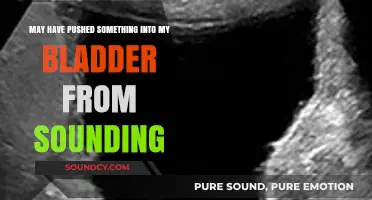 Potential Complications of Sounding: A Bladder Health Concern