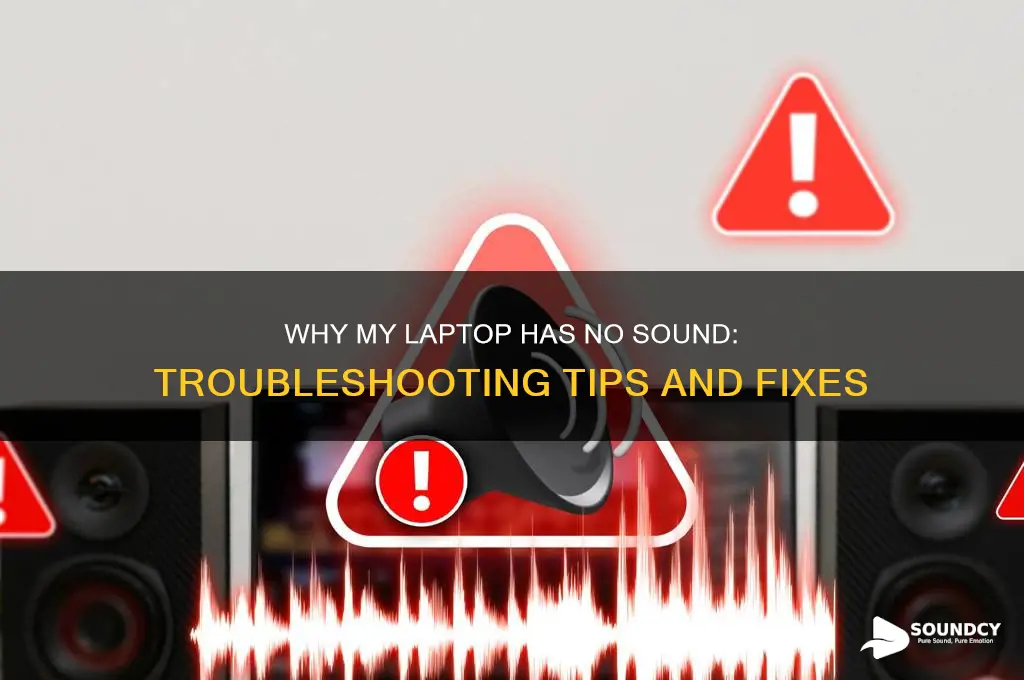 may laptop has no sound