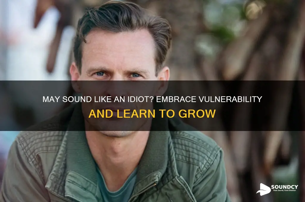 may sound like an idiot